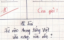 Từ nào trong Tiếng Việt vừa nặng, vừa nhẹ? - Trả lời đúng, bạn lọt top 1% người thông minh nhất!
