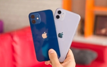 8 mẫu iPhone dù có rẻ đến đâu cũng không nên mua lúc này