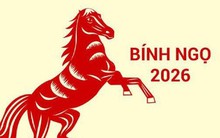 Năm Bính Ngọ 3 con giáp có quý nhân tương trợ, tài lộc rực rỡ, cần tận dụng cơ hội tốt để làm giàu