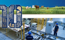 Nông nghiệp Hòa Phát: Chậm mà chắc như xe lu, xây vị thế top đầu