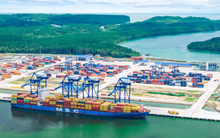 Sở hữu cảng 11.000 tỷ vẫn không được phép nhập khẩu mặt hàng quan trọng, Đồng Nai quyết "xin" quyền