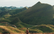 Mùa cỏ cháy phủ vàng đồi Ba Quáng giữa núi rừng Cao Bằng