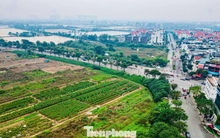 Hiện trạng khu đất làm công viên, quảng trường nhạc nước gần 100ha ở Hà Nội