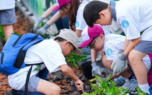 AEON nỗ lực phát triển bền vững tại Việt Nam