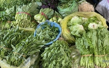 7 loại rau tươi ngon, dễ mua với giá rẻ quanh năm