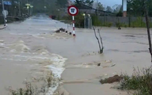 Liên tiếp 3 đợt lũ lịch sử ở miền Trung: Nguyên nhân do đâu?