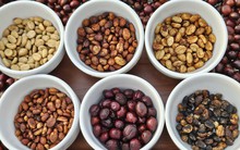 Giá cà phê hôm nay 21-11: Quay đầu tăng rất mạnh