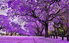 Sóng gió bủa vây thị trường, một cổ phiếu bất ngờ ngược dòng “tím lịm” chục phiên, giá x2 chỉ sau 2 tháng