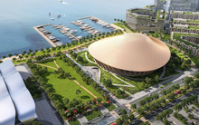 Coteccons (CTD) trúng gói thầu 4.500 tỷ tại dự án Trung tâm Hội nghị APEC Phú Quốc