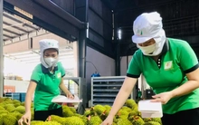 Rau quả Việt xuất khẩu gây bất ngờ