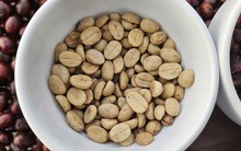 Giá cà phê hôm nay 23-11: Một tuần bão tố