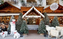 Quán cà phê Hà Nội hóa trời Âu, phun tuyết nhân tạo, hút khách mùa Giáng sinh