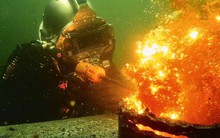 Nghề "hái ra tiền" ở dưới nước, 1 năm có thể kiếm hơn 5 tỷ