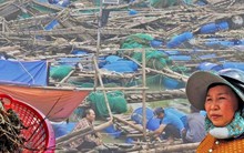 Bán tôm hùm 150.000 đồng/kg sau lũ dữ, người dân Đắk Lắk trắng tay