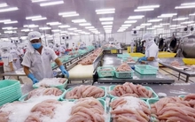 Châu Âu siết mạnh truy xuất nguồn gốc thủy sản