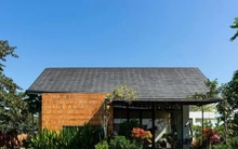 Nhà mái dốc 160m2 giữa cánh đồng lúa đẹp như tranh vẽ