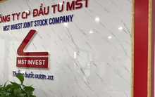 MST chào bán thành công 30 triệu cổ phiếu cho 9 nhà đầu tư trong nước