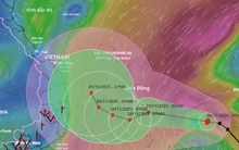 Bão số 15 diễn biến rất khó lường