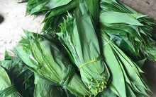 Loại lá Việt Nam từng “cho không ai lấy”, nay được Trung Quốc bao tiêu, giúp dân "hái" tiền tỷ