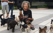 Buồn của phú nhị đại thừa kế 186 tỷ đồng từ cha mẹ tỷ phú: Tuổi xế chiều không nhà, không xe, trở thành người vô gia cư lang thang trên phố