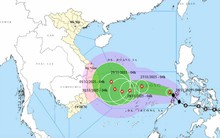 Biển Đông đón bão số 15 Koto giật cấp 14, hướng đi liên tục thay đổi