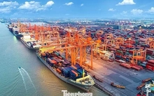 Việt Nam có tiềm năng lớn phát triển cảng xanh, thông minh