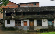 Gửi mẹ 1,4 tỷ đồng trong 3 năm, chàng trai chết sững khi về thăm nhà