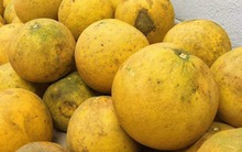 Mua bưởi, cứ học thuộc mẹo này là biết ngay bưởi ngon hay bưởi dở