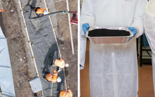 Phát minh có thể thay đổi hoàn toàn ngành xây dựng: Dùng bã cà phê để trộn thêm, giúp bê tông cứng gấp nhiều lần, giảm phát thải CO2 đến hơn 20%