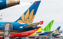 3 hãng hàng không Việt đồng loạt ra thông báo sau cảnh báo khẩn về lỗi phần mềm của Airbus