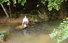 Có một suối "cá thần" khác ở Thanh Hóa mà nhiều người chưa biết