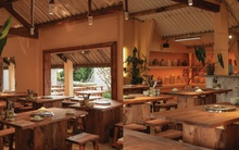 Khoai Lang Nướng: Hơn cả món ngon là triết lý "vun trồng cộng đồng"