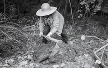 Người nông dân bất ngờ đào được con rắn đen mắt đỏ, chuyên gia một mực khẳng định là rồng: Sự thực là gì?