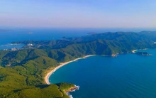 Quảng Ninh sẽ xây cầu vượt biển đánh thức ‘viên ngọc xanh’ giữa vịnh Bắc Bộ