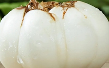 Mềm hơn khoai lang, bổ hơn khoai môn: Loại củ mùa đông vừa ra đã hot, ăn thường xuyên bổ thận, bổ phổi