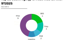 20 doanh nghiệp lỗ lớn nhất 9T2025: Novaland đầu bảng, ngành bất động sản áp đảo, 14 doanh nghiệp lỗ trăm tỷ