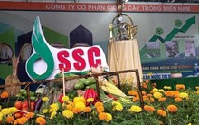 Tòa án TP.HCM tuyên bố phá sản công ty con của một công ty trên sàn chứng khoán