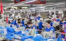 TNG được gia hạn doanh nghiệp ưu tiên, trả cổ tức tiền mặt đợt 2/2025