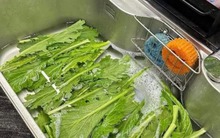 Bức ảnh khiến cả vạn người khẩu chiến