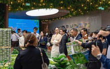 Dòng tiền đầu tư rẽ sóng Nam tiến: Nhà giàu miền Bắc chuyển hướng “đánh bắt xa bờ” ở thị trường sôi động bậc nhất phía Nam