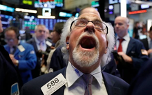 Phiên 4/11: Khối ngoại bất ngờ "tung" hơn 1.200 tỷ mua ròng trên HoSE, gom mạnh một cổ phiếu chứng khoán