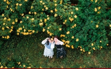 Mùa dã quỳ phủ vàng sườn núi Ba Vì, khách đổ về săn ảnh đầu đông