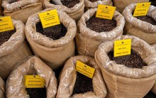 Mỹ giảm thuế suất từ 20% xuống 0%, cà phê Việt Nam đứng trước cơ hội vàng bứt phá tại thị trường lớn nhất thế giới?