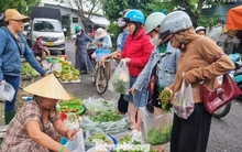 'Mấy hôm nay mua rau đắt hơn cá thịt'