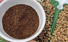 Giá cà phê hôm nay 7-11: Bất ngờ bốc hơi 3 con số