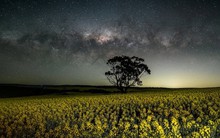 Giữa căng thẳng thương mại với láng giềng Washington, quốc gia BRICS nối lại nhập khẩu mặt hàng tỷ USD từ nước đồng minh của Mỹ sau 5 năm 'chặn cửa'