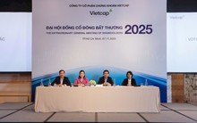 Vietcap: thông qua kế hoạch phát hành riêng lẻ, lập công ty con tại Singapore, rút lui khỏi dự án sàn giao dịch tài sản số