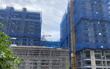 TP HCM: 54 tổ chức được thí điểm nhận đất nông nghiệp làm nhà ở thương mại