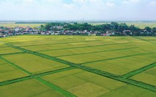 Đối tượng nào được miễn thuế sử dụng đất nông nghiệp đến hết năm 2030?