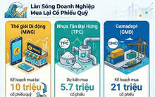 Loạt công ty Thế giới di động, Nhựa Tân Đại Hưng, T-Corp, Gemadept có cùng một hành động
